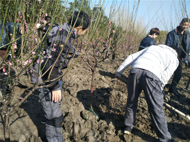 植书活动